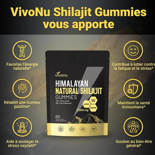 Gommes Énergétiques Shilajit de l'Himalaya GN