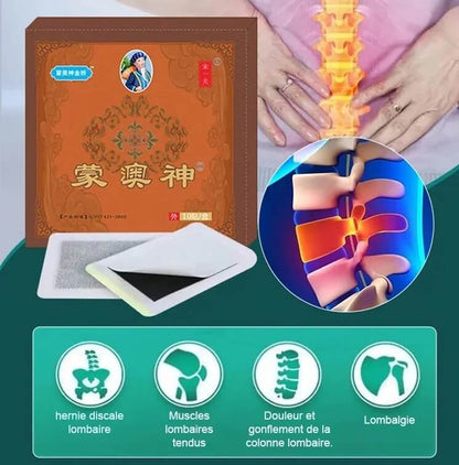 Patch de douleur à base de plantes GN