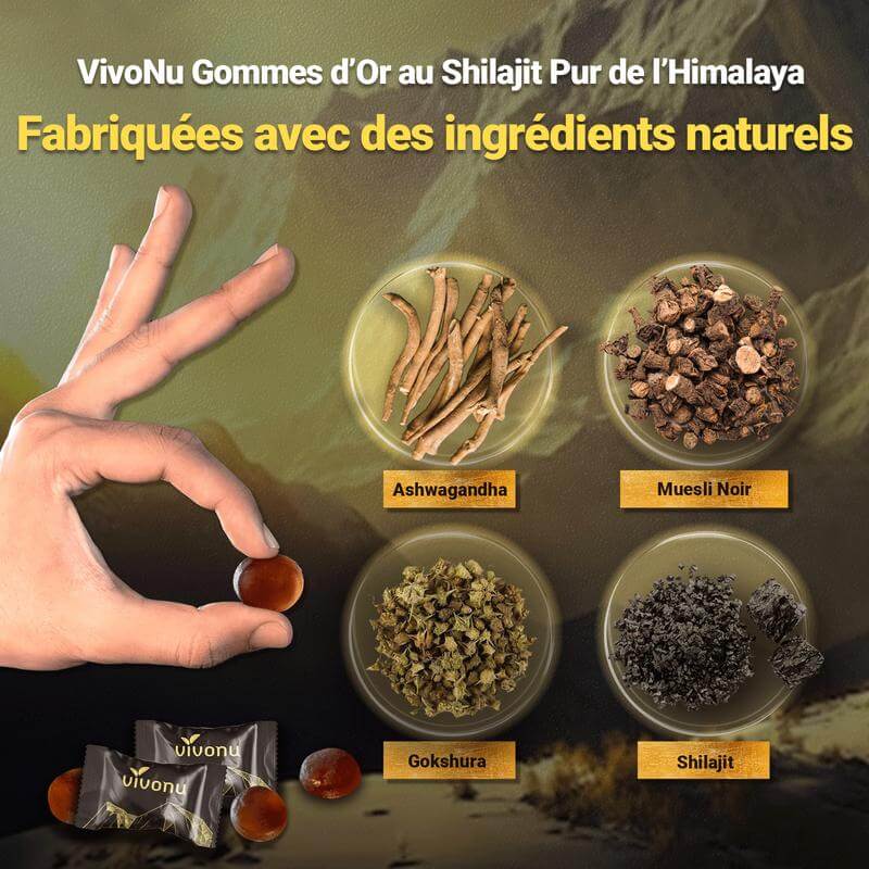Gommes Énergétiques Shilajit de l'Himalaya CD