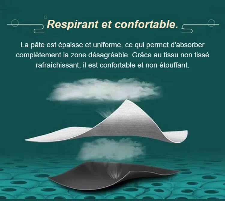 Patch de douleur à base de plantes GN