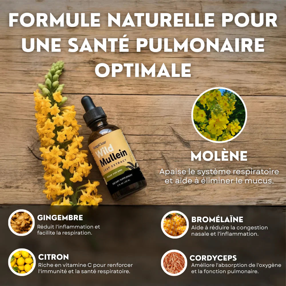 Détox Poumons 3-en-1 CD