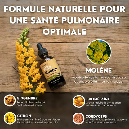 Détox Poumons 3-en-1 CD
