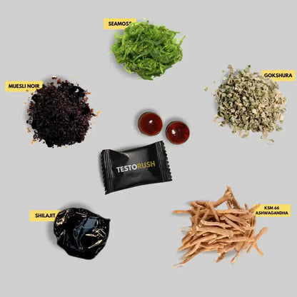 Gommes Shilajit Pure de l’Himalaya CD