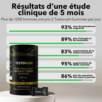 Gommes Shilajit Pure de l’Himalaya CD