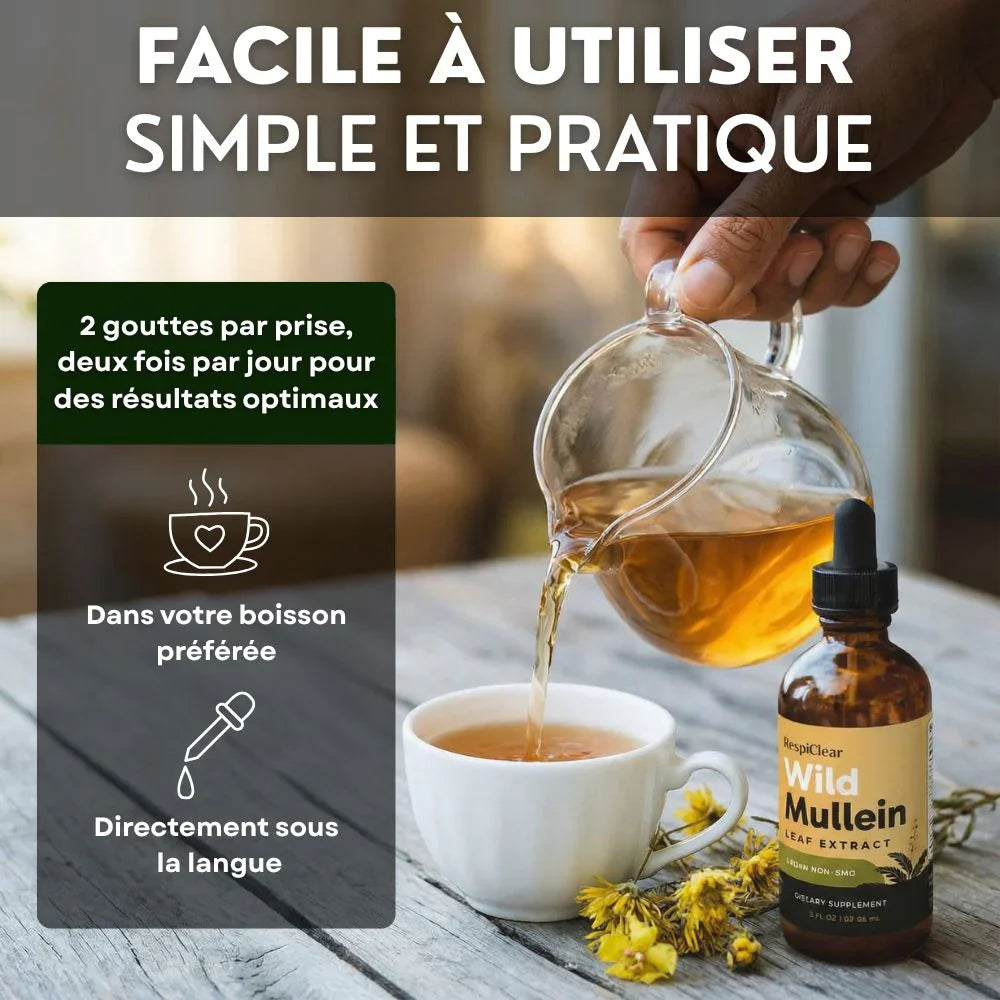Détox Poumons 3-en-1 CD