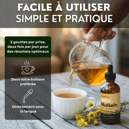 Détox Poumons 3-en-1 CD