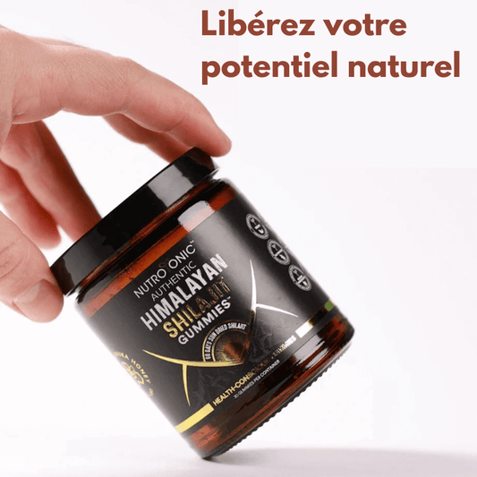 Shilajit Naturel en Gommes GN